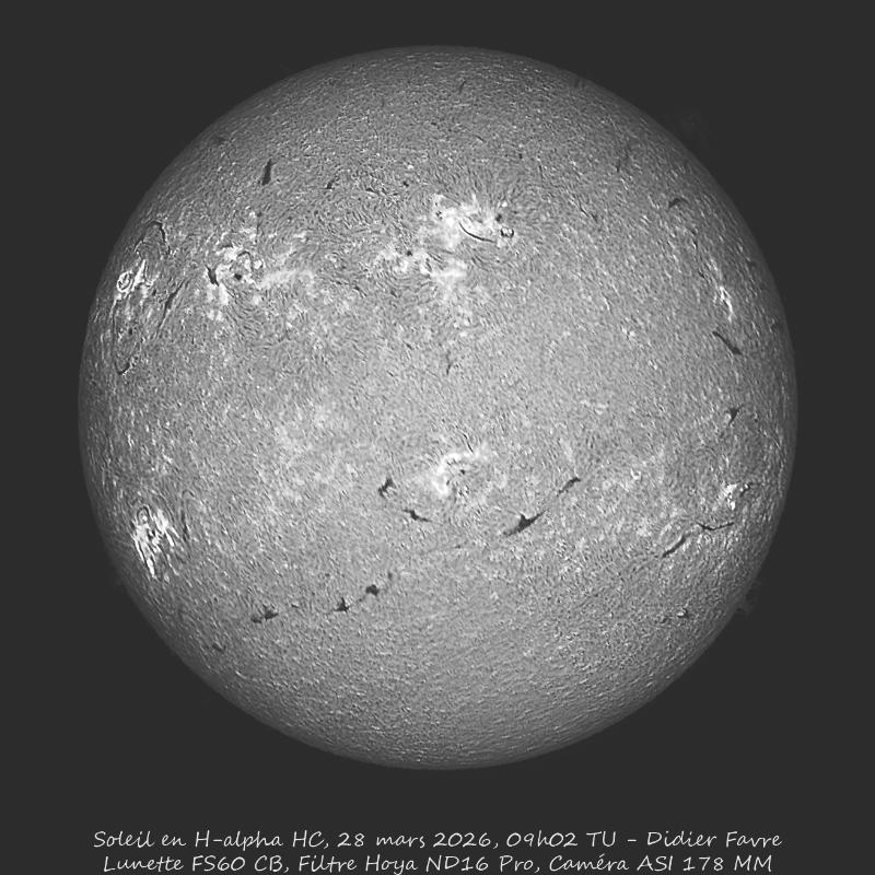 H-ALPHA High Contrast