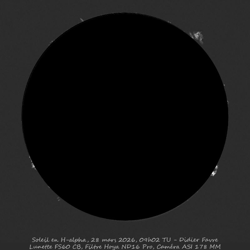 Protubérances H-alpha