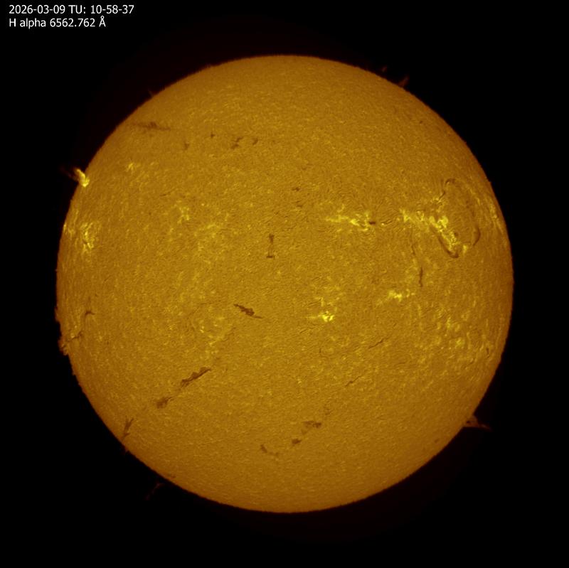 H alpha colorisée