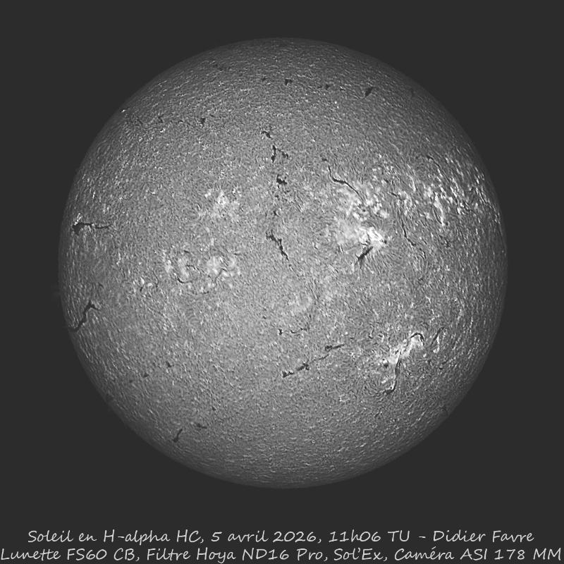 H-ALPHA High Constrast