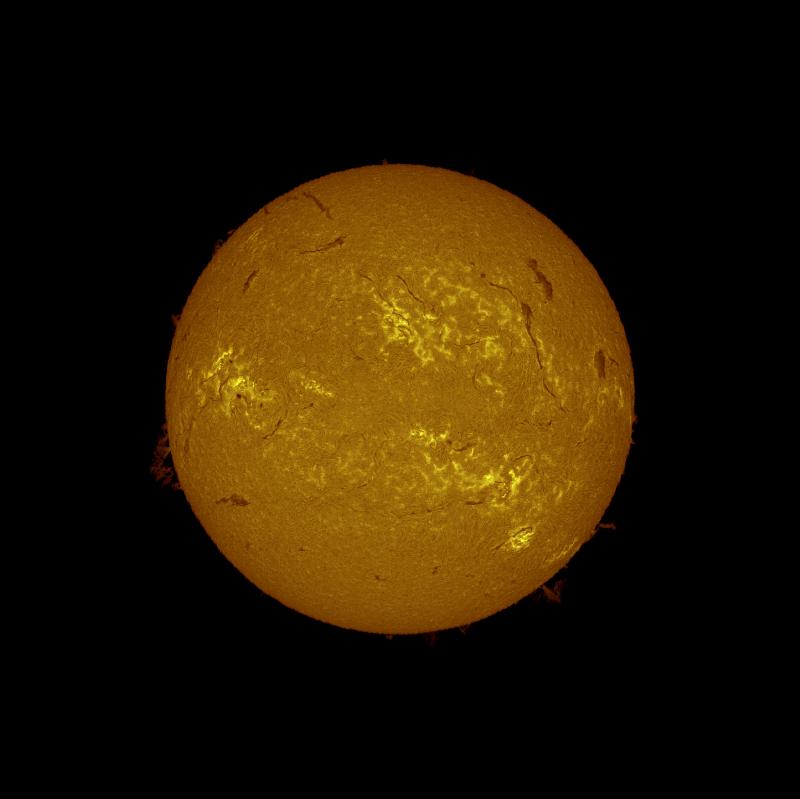 mosa_11_30-11_24_proc