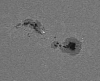 AR 4419 - Bombe d'Ellerman