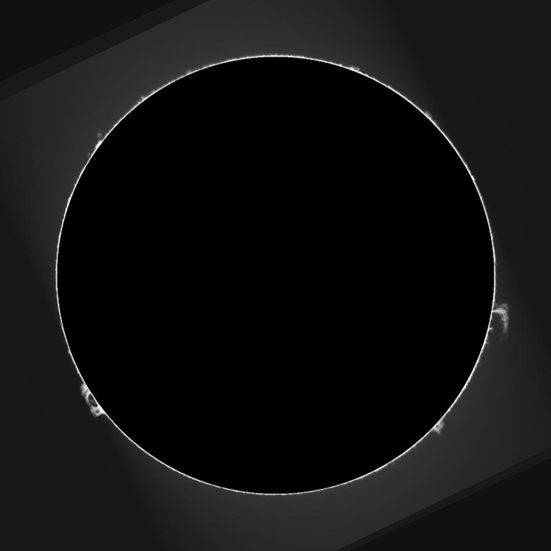 _11_00_38_protus