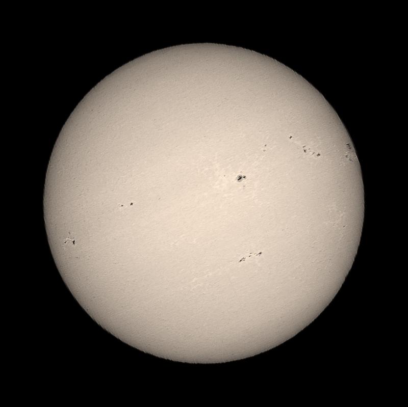 _11_49_34_color_Pale