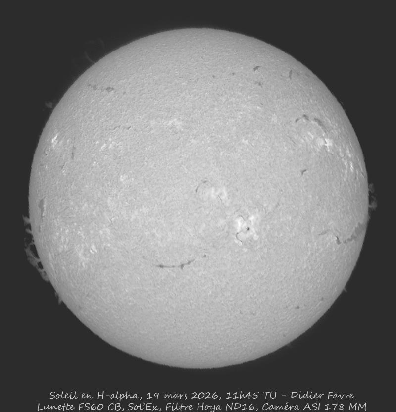 Disque solaire H-alpha