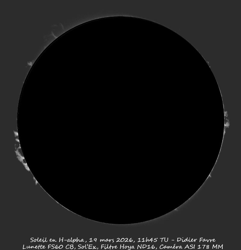 protubérances en H-alpha