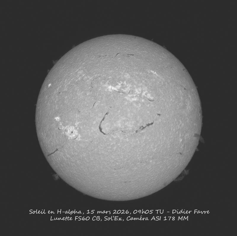 disque solaire en h-alpha