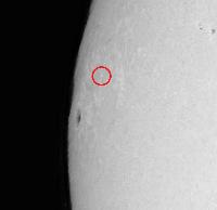 Ellerman-bomb in lower Chromosphere (Halpha-wings)