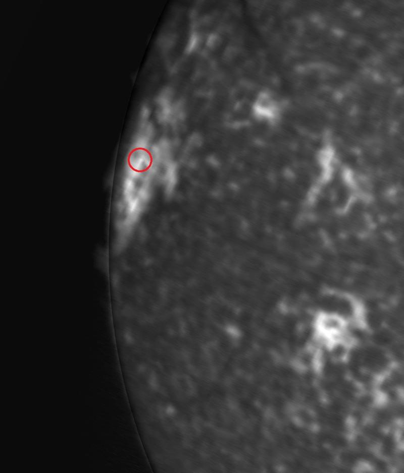 Ellerman-bomb in CA II K-Line